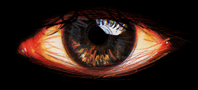 Interactive image of a left eye.