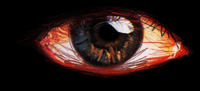 Interactive image of an eye.
